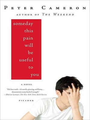 cover image of Someday This Pain Will Be Useful to You